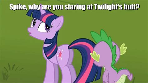 Spike Why Are You Staring At Twilights Butt My Little Pony