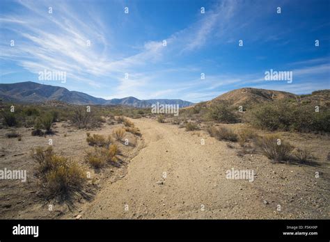 Dirt Road In The Wilds Of The Mojave Desert Wilderness Of Southern