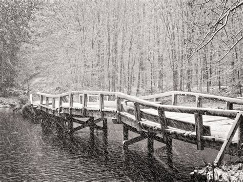 Wood Bridge Covered In Snow Stock Photo Image Of Foot Rotting 31772212
