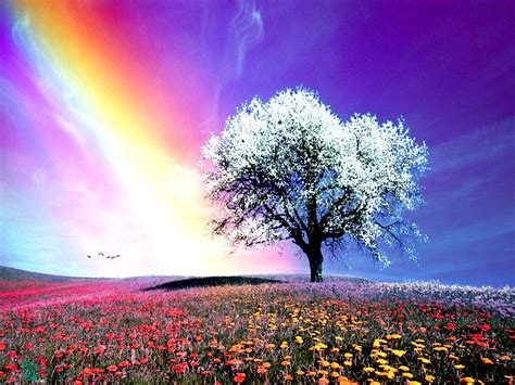 20 Best Background Images Hd Rainbow Cool Background Collection