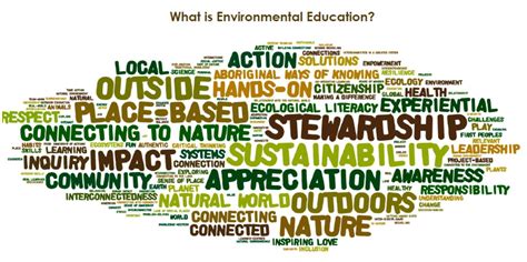 What Is Environmental Education Cbeen Online
