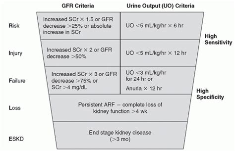 Acute Kidney Injury Pathogenesis Diagnosis And Management
