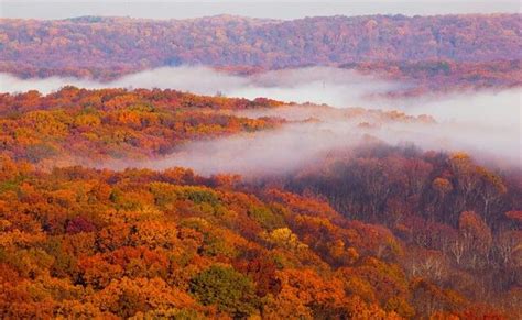 Pin By Fred Suter On Brown County State Park Indiana State Parks