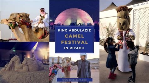 Camels are seen during a beauty contest as part of the annual king abdulaziz camel festival in rumah (file pic)credit: Pin on Discover Saudi Arabia