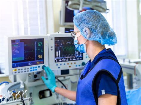 El trabajo de estos roedores es de gran importancia para los residentes de la zonas afectadas. Decretos De Oro Que Salvan Vidas - Atraen el descenso de ...