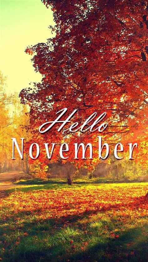 Goodbye October Hello November 640x1136 Wallpaper