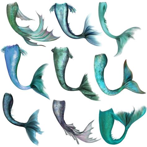 Mermaid Tails Art Print By Alphavariable X Small Mermaid Tails