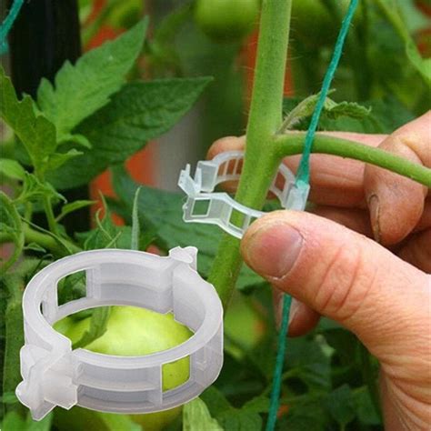 50pcslot Reusable 25mm Plastic Plant Support Clips Clamps For Plants