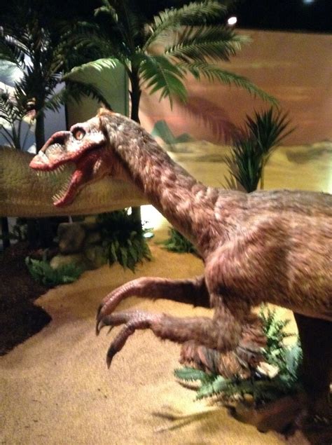 My Childhood Love Of Velociraptors Was A Lie This Aint The Lyceum