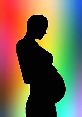 Silueta De Cuerpo Completo De Mujer Embarazada Imágenes De Fondo PSD Y