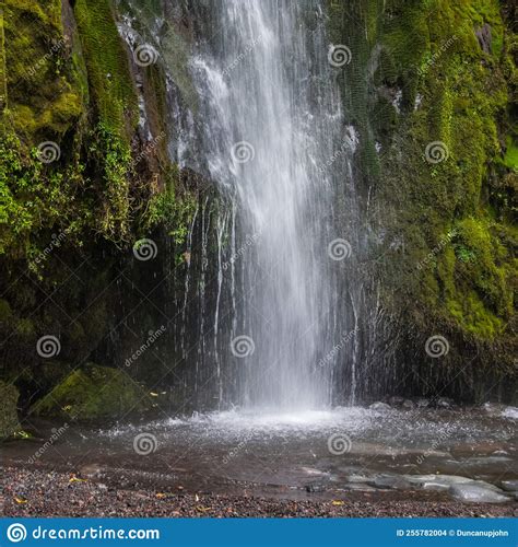 Silky Waterfall And Mossy Rocks Stock Photo Image Of Pond Egmont