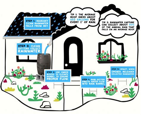 How To Capture Rainwater Save The Drop