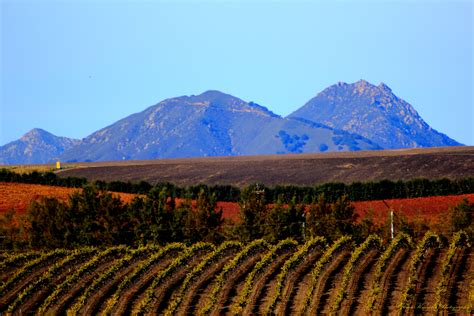 Wine Country Photography - California Winery Advisor