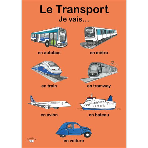 French Vocabulary Poster Le Transport Cartes Cochons Little Linguist
