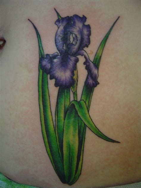 Iris Flower Tattoo Designs Best Flower Site