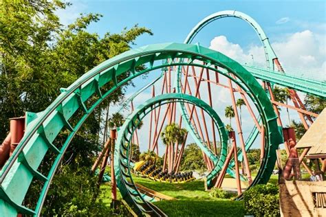 13 Of The Most Unexpected Things To Do At The Seaworld Parks In Florida Metro News