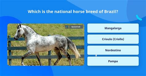 Which Is The National Horse Breed Of Trivia Questions Quizzclub