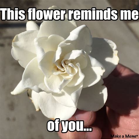 check out this meme i made with makeameme flowers rose memes