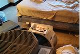 Terminix Bed Bug Treatment Reviews Images
