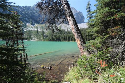 In addition to the best canada toll free number service for business, popular solutions from avoxi include cloud contact center software and business sip trunking. Lillian Lake Kananaskis Galatea trail Alberta Canada | Flickr