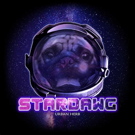 Stardawg Poster Astronaut Pug In Outer Space Funny Stoner Etsy