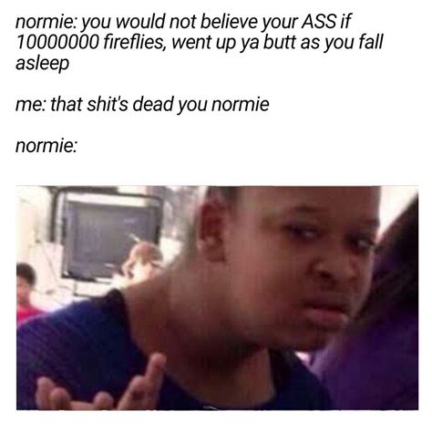 Using Normie Memes To Make Anti Normie Memes Dank Memes Amino