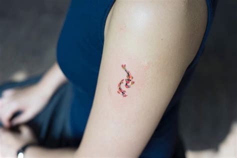 Pin By Things On Tattoo Tiny Tattoos For Women Tiny Tattoos Coy