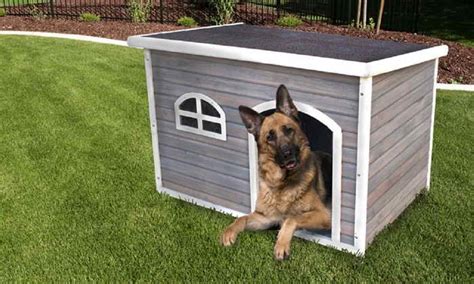 Dog House For German Shepherd Petsidi