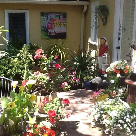Carmel By The Sea Sweet Home Plants House Beautiful Plant Planets