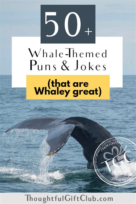 50 Whale Puns And Jokes For Instagram Captions That Are Whaley Great
