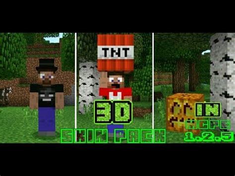 Complete minecraft pe mods and addons make it easy to change the look and feel of your game. 3D SKIN PACK in Minecraft Bedrock edition 1.2.5 ...