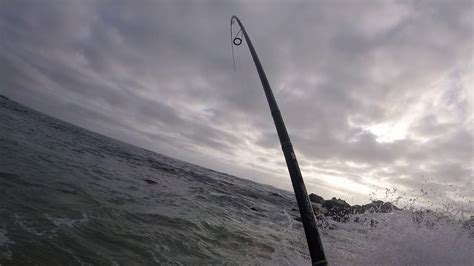 Pesca De Corvina 9 8kg Con Equipo Ligero V Región Chile Youtube