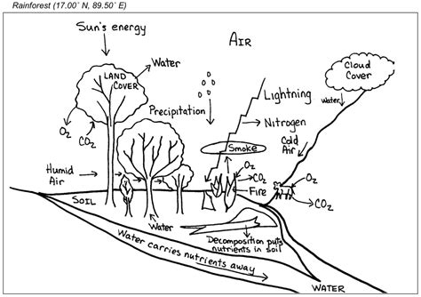 Every ecosystem performs under natural conditions in a delicately balanced and systematic controlled manner. Lab 4: A Bird's Eye View: Exploring Your Region