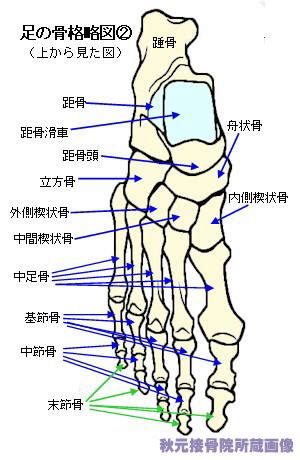 The latest tweets from ケイン・ヤリスギ「♂」 (@kein_yarisugi). 足の甲の痛み・腫れ・リスフラン関節症