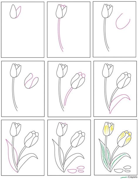 Cool Simple Flower Drawing How To Draw  Jonathansamplecomics
