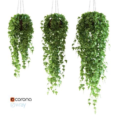 Set Of 3 Models Ivy In Pots Hanging On A Chain 3d Model Max Fbx