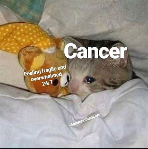 33 Funny Cancer Memes That Reveal The Untold Truth Of Cancerians Artofit