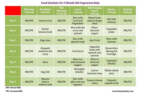 9 Month Old Feeding Schedule with FREE Printable Food Charts