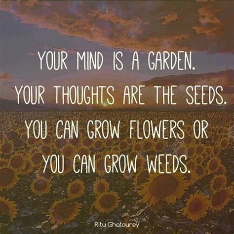 Thoughts Sunflower Quotes Seed Quotes Garden Quotes