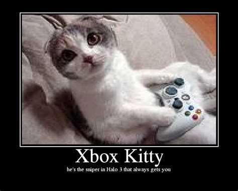 Xbox Kitty Picture Ebaums World