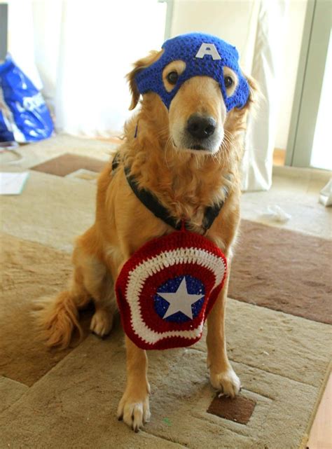 Captain America Inspired Crochet Pet Costume For Large Breed Dogs By