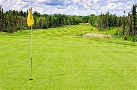 4 Types Of Golf Course Grass Which Is Better