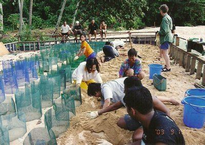 Consisting of four islands and the coastline, this park protects the population of turtles in the area. Pulau Talang-Talang Kecil, Sarawak - It's Never too Late