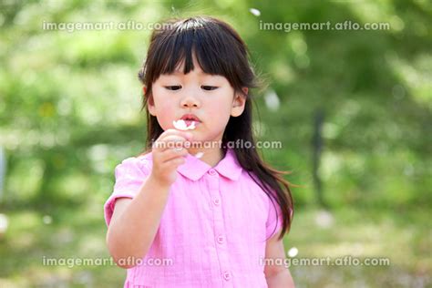 桜を持つ日本人の女の子の写真素材 [206428461] イメージマート