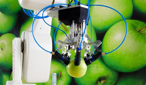Robots That Can Pick And Sort Fruit