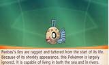 Images of Feebas Evolve