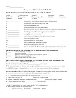 How is energy transferred and transformed in living systems? Cellular respiration pogil packet answers