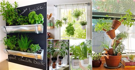 32 Diy Hanging Herb Garden Ideas For Small Spaces