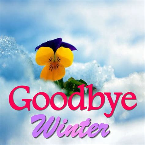 Various Artists Goodbye Winter Lyrics And Songs Deezer