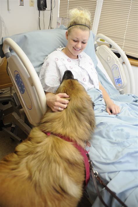 Very informative and well written by an experienced dog. Therapy dogs bring joy to all > Air Force Medical Service ...